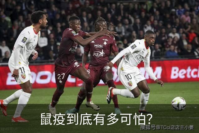 鼠疫到底有多可怕？